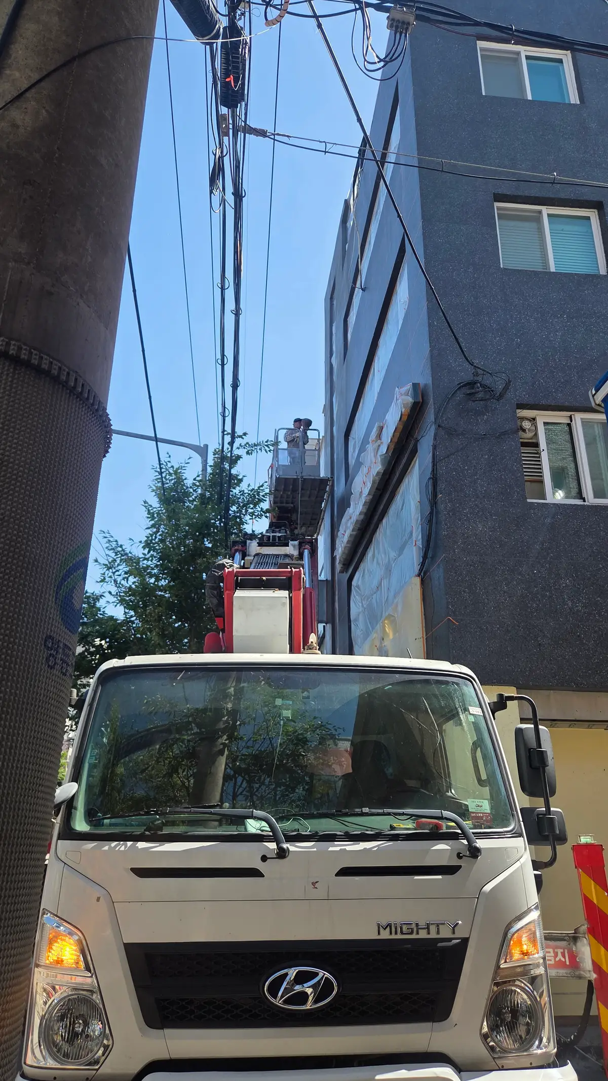 이미지 12