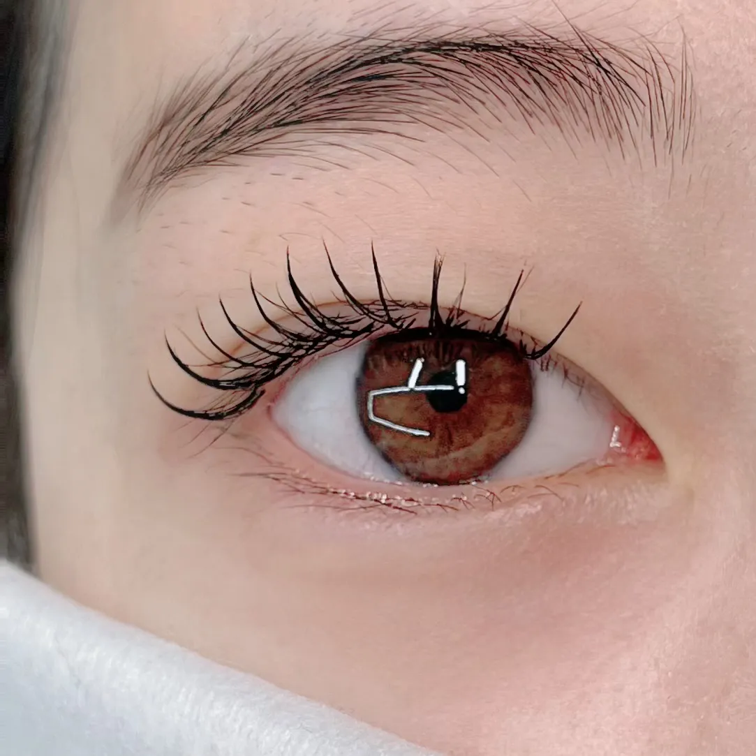이미지 7