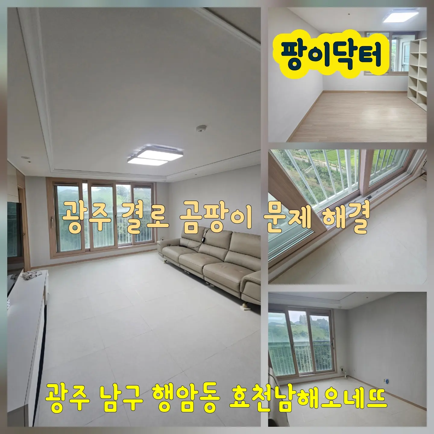 이미지 14