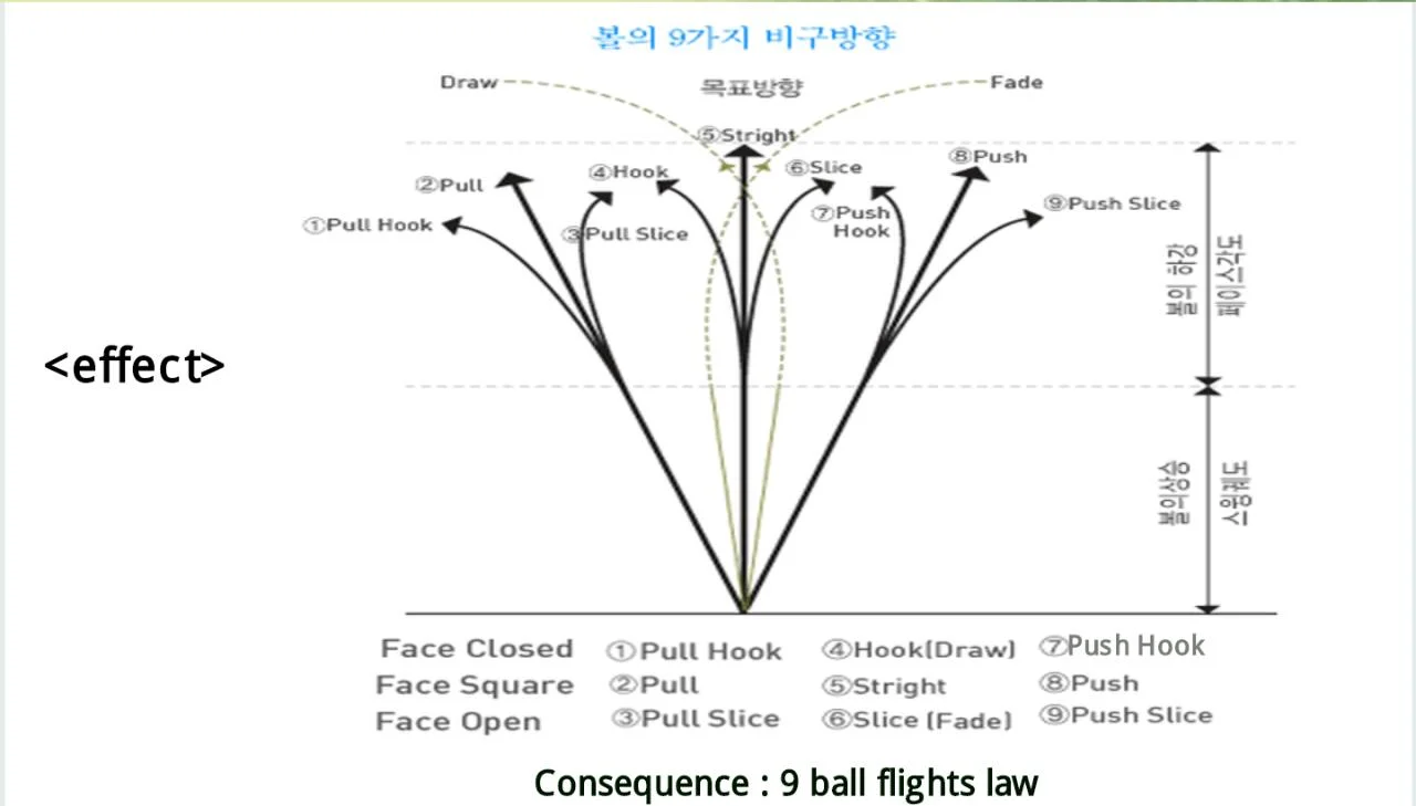 이미지 5