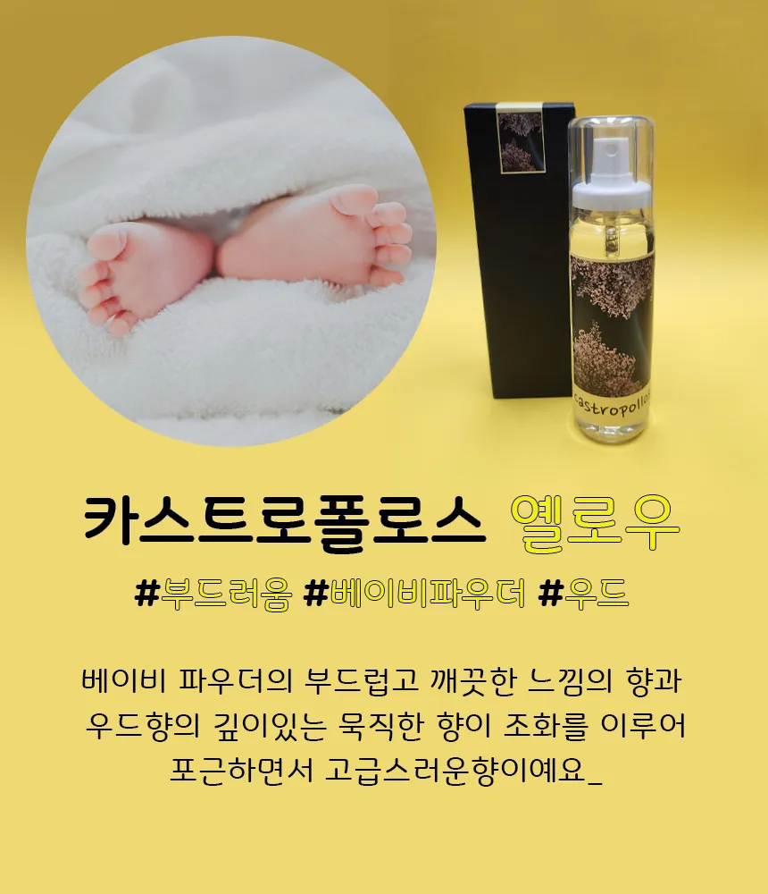 이미지 5