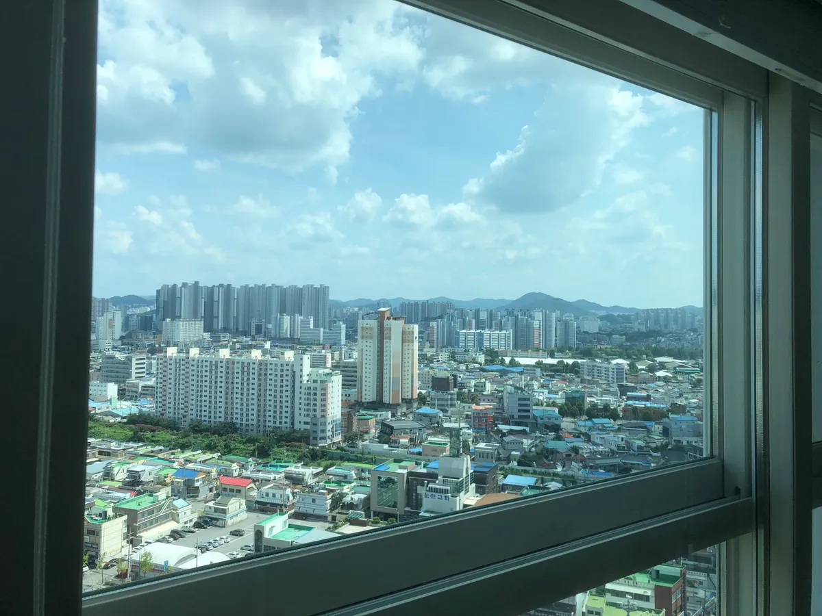이미지 5