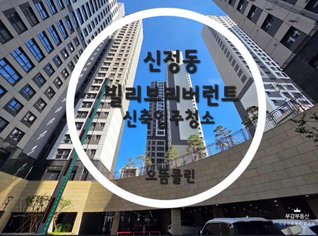 이미지 2