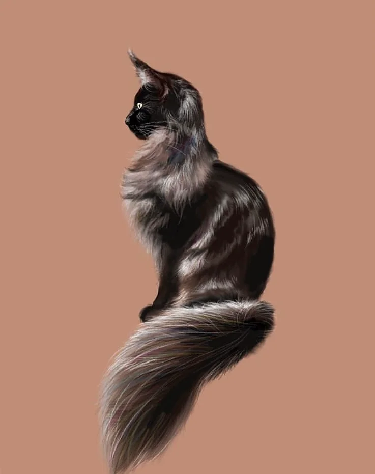 이미지 5