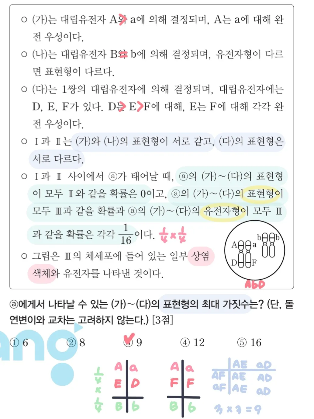 이미지 4