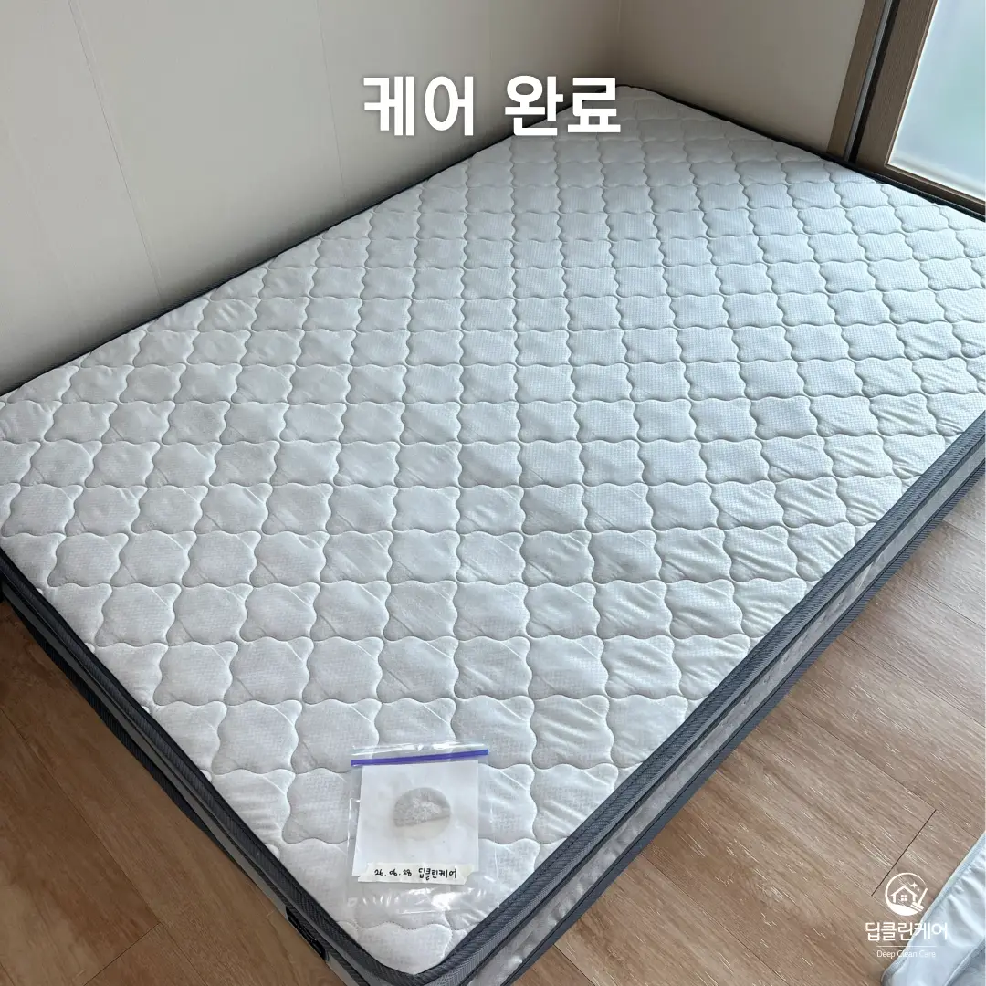 이미지 22