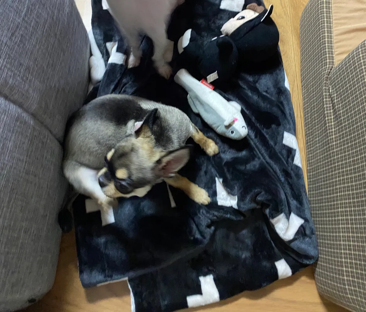 이미지 6