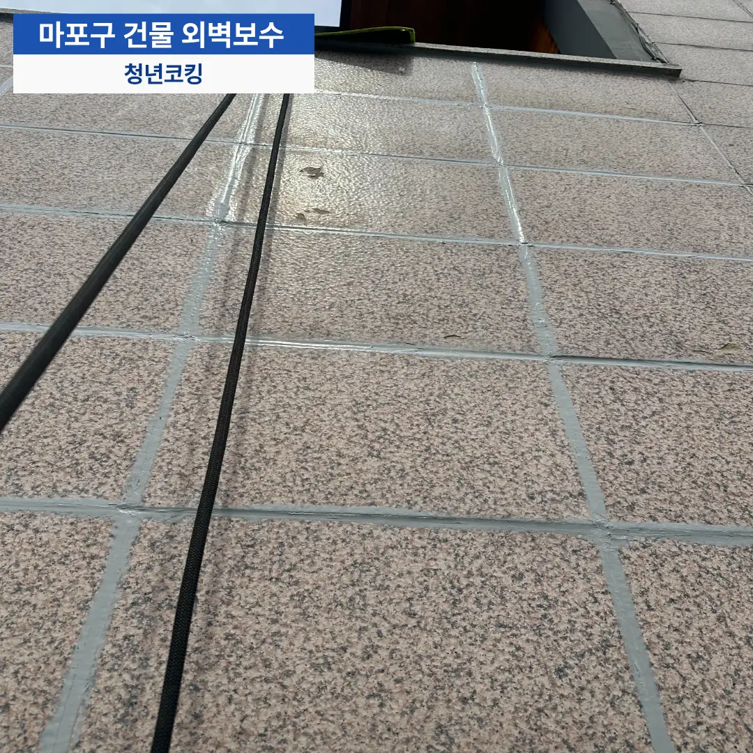이미지 8