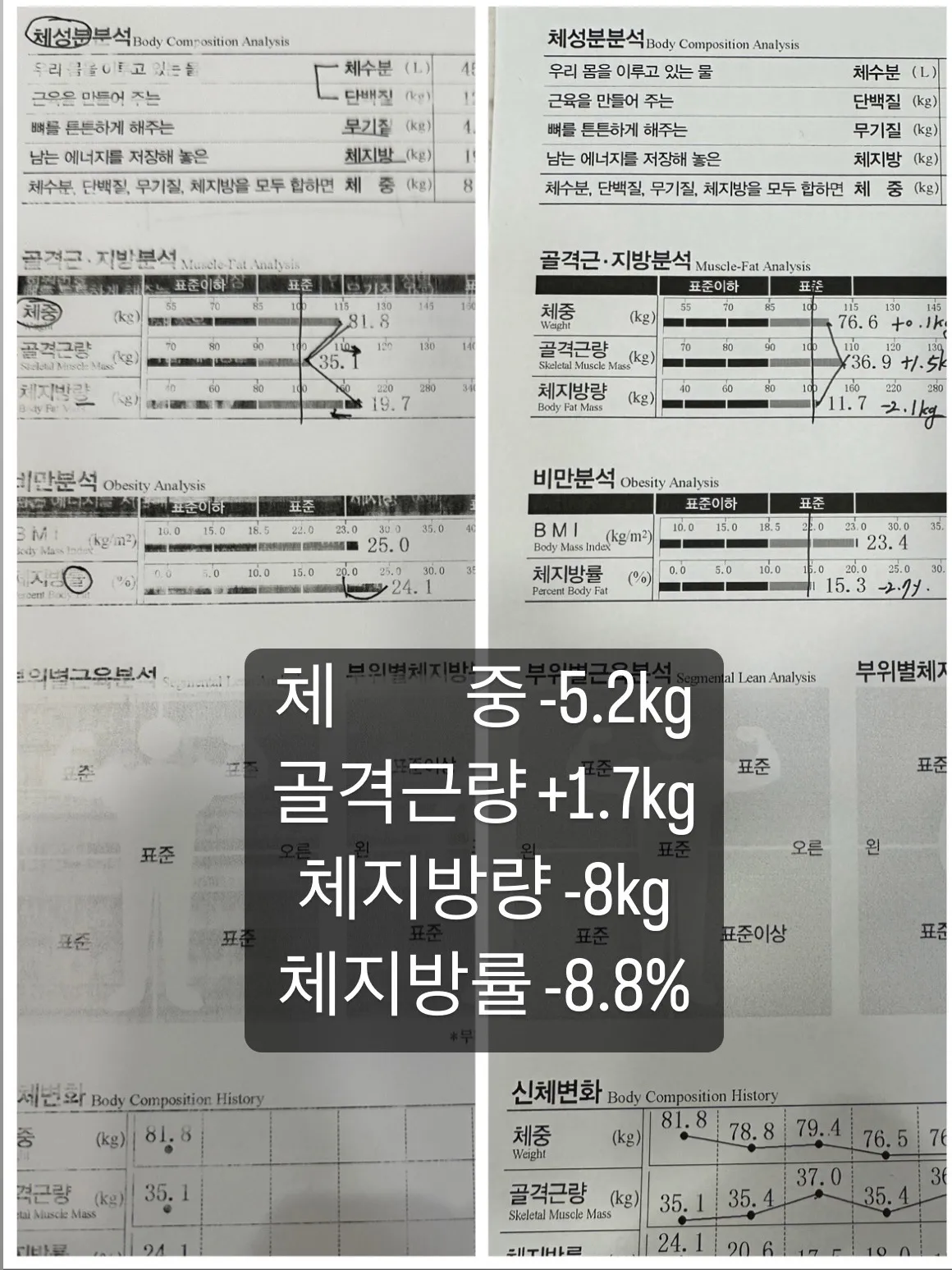 이미지 11