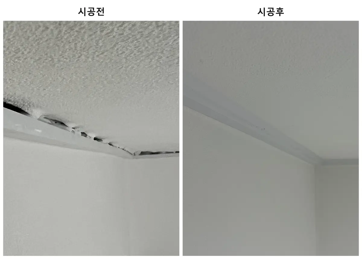 이미지 2