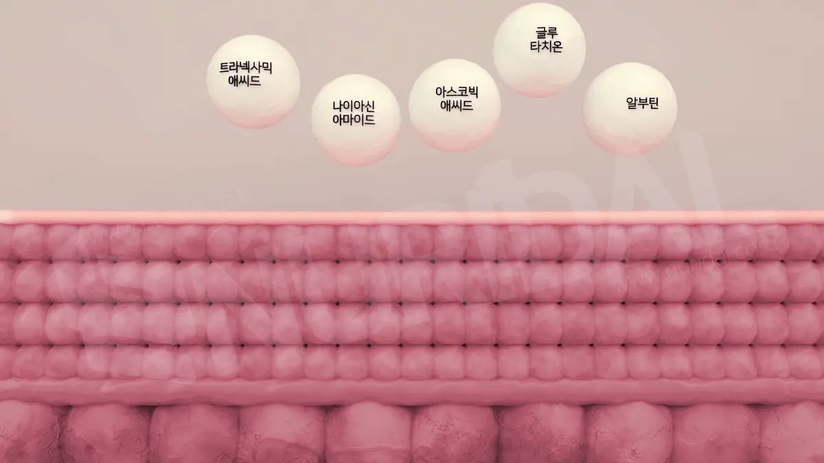 이미지 8