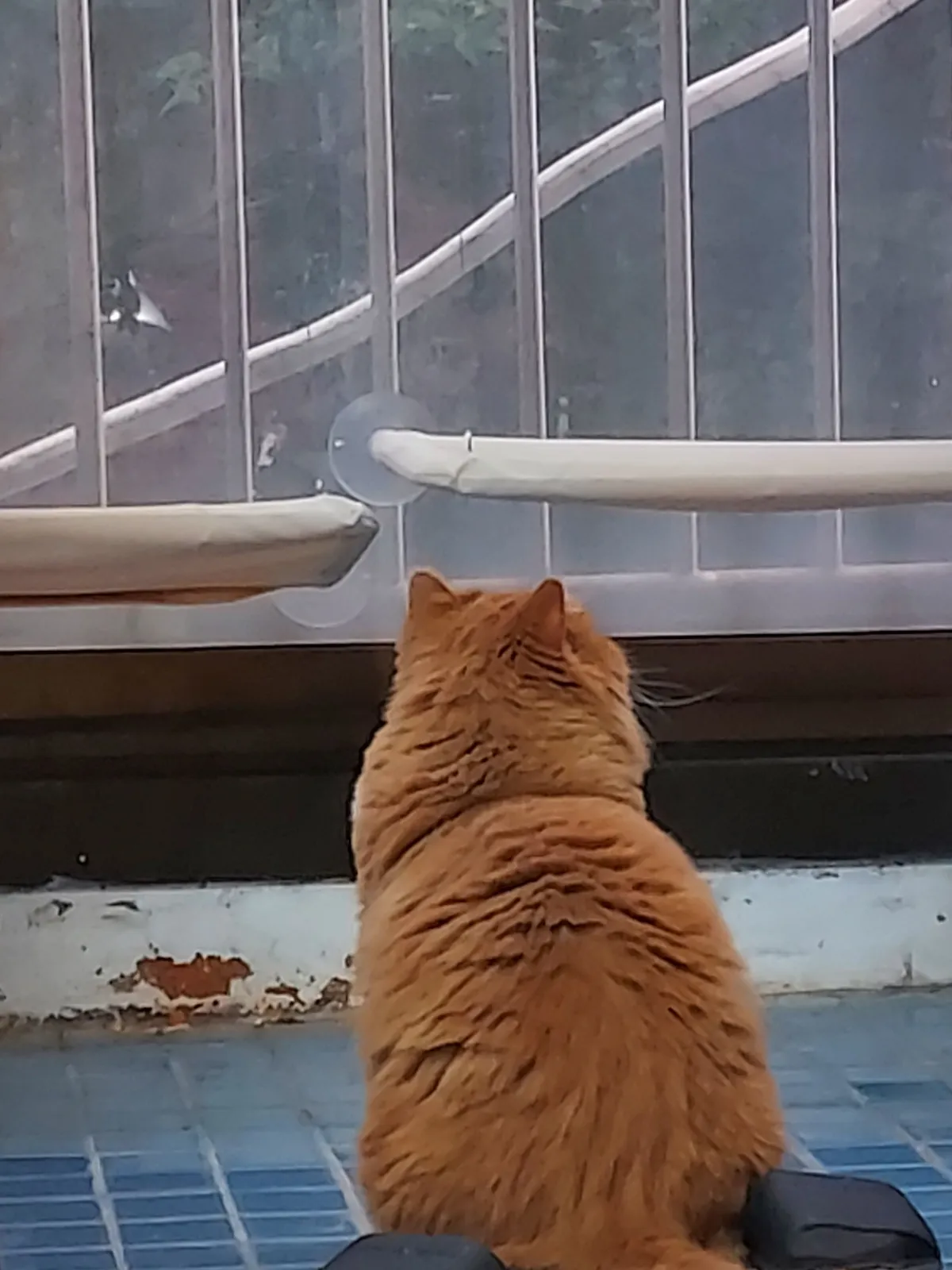 이미지 11