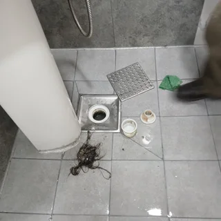 파손 없는 탈거