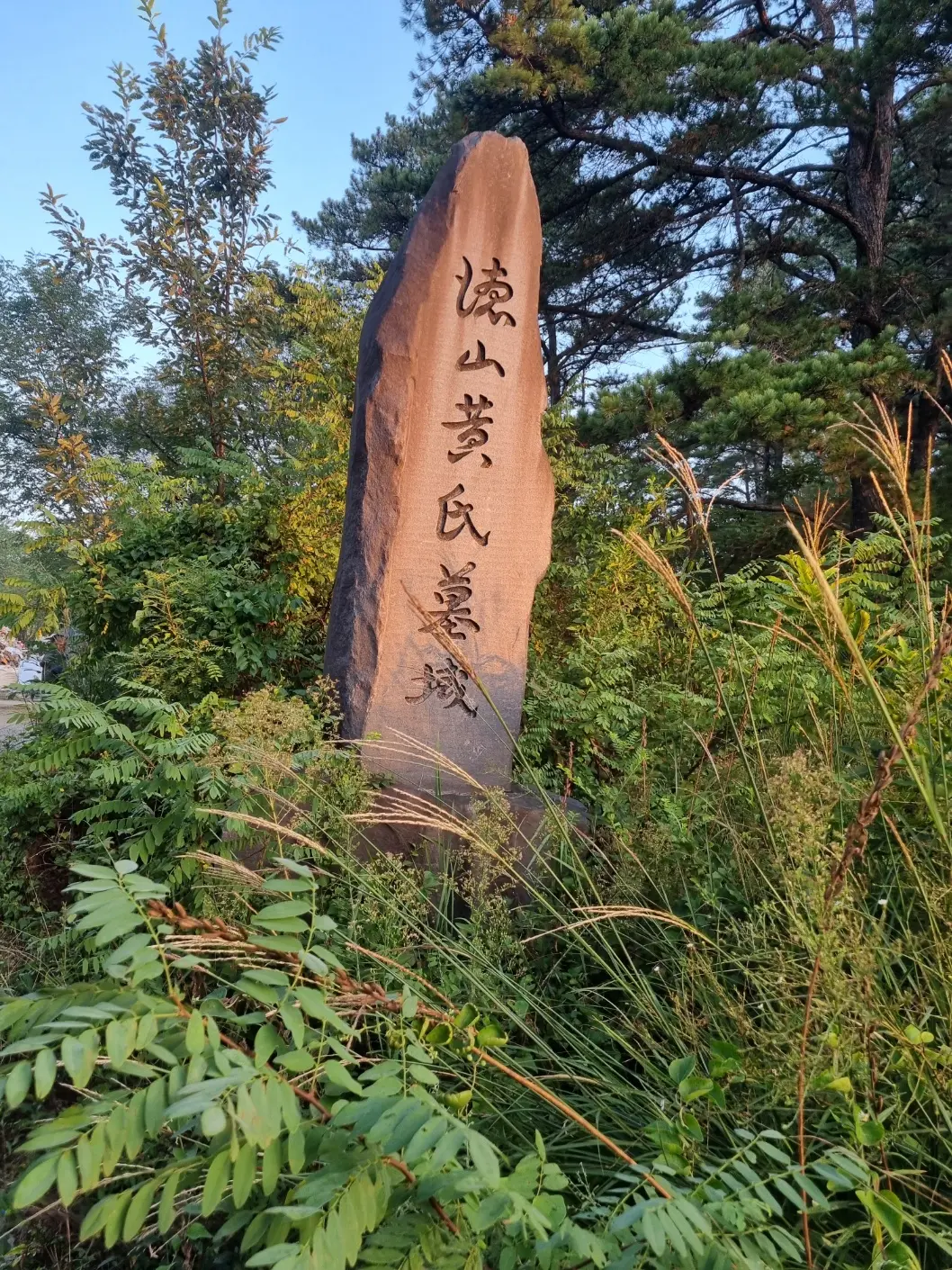 이미지 3