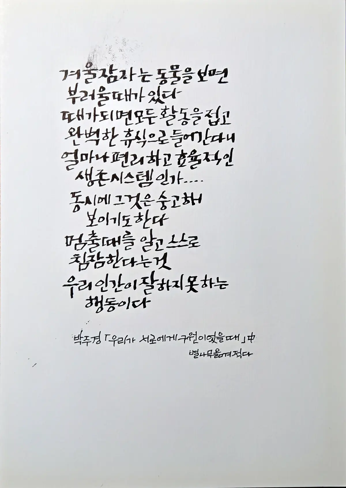 이미지 16