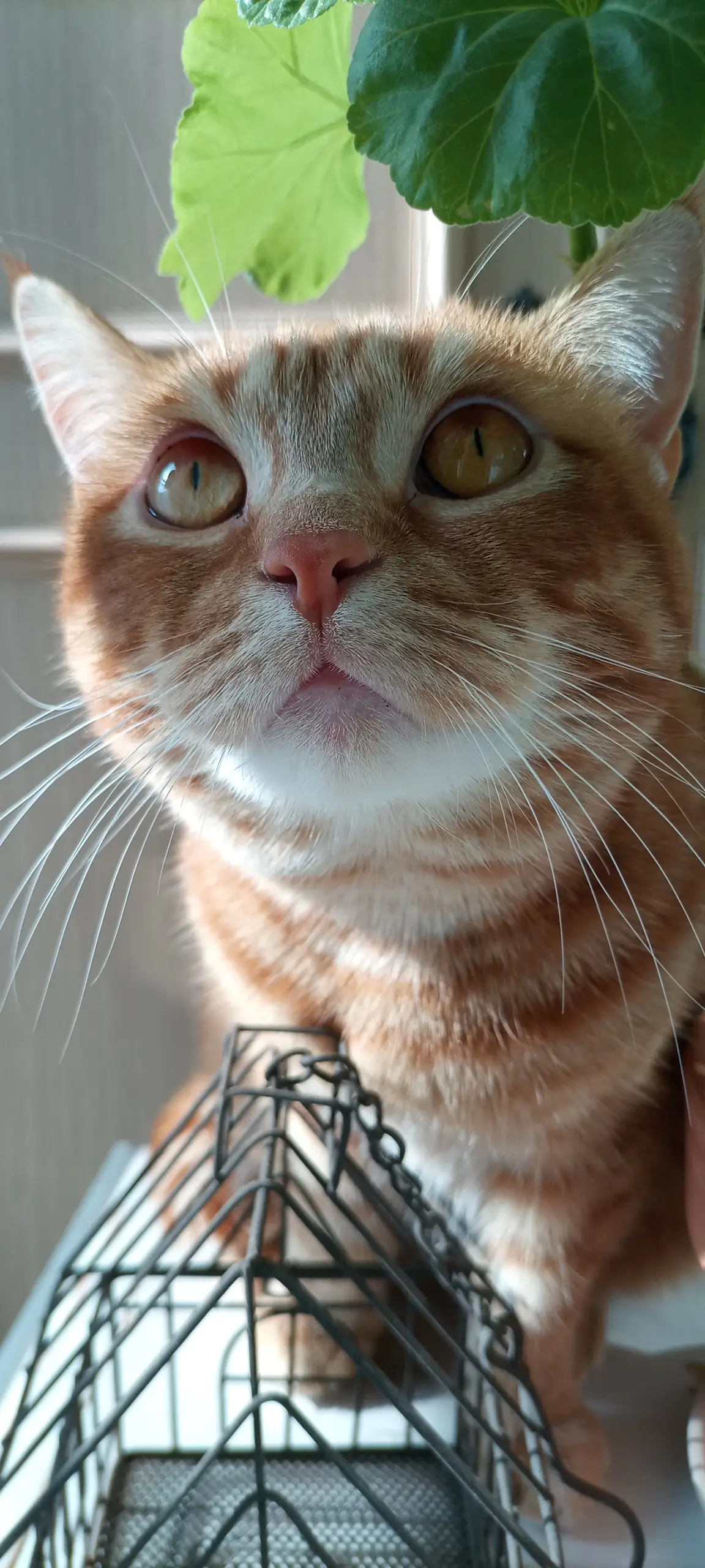 이미지 3