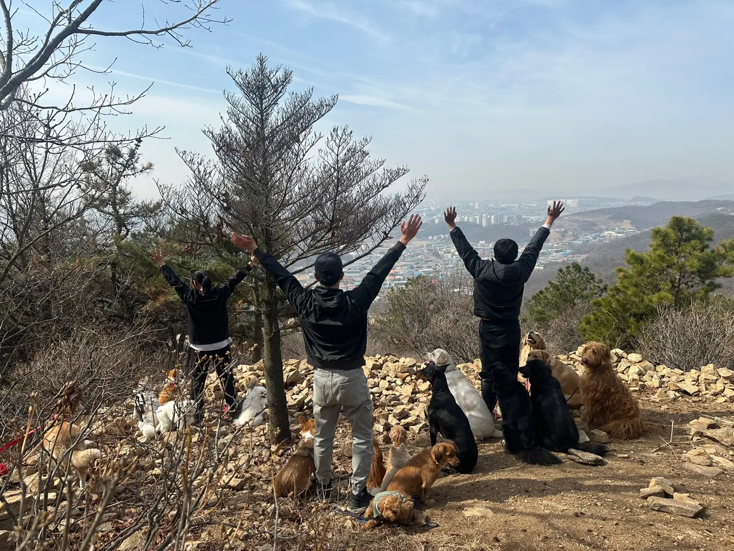 이미지 6