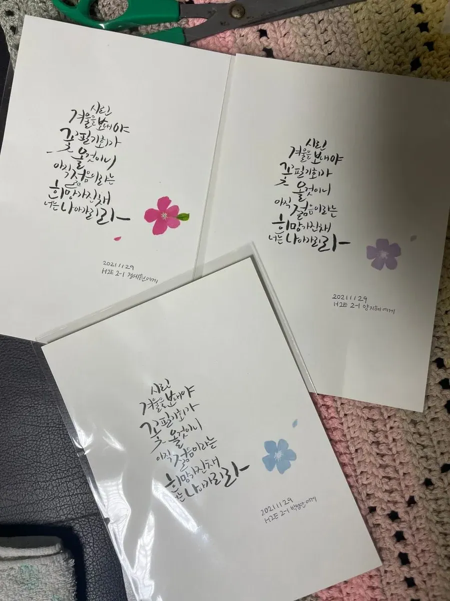 포트폴리오 이미지