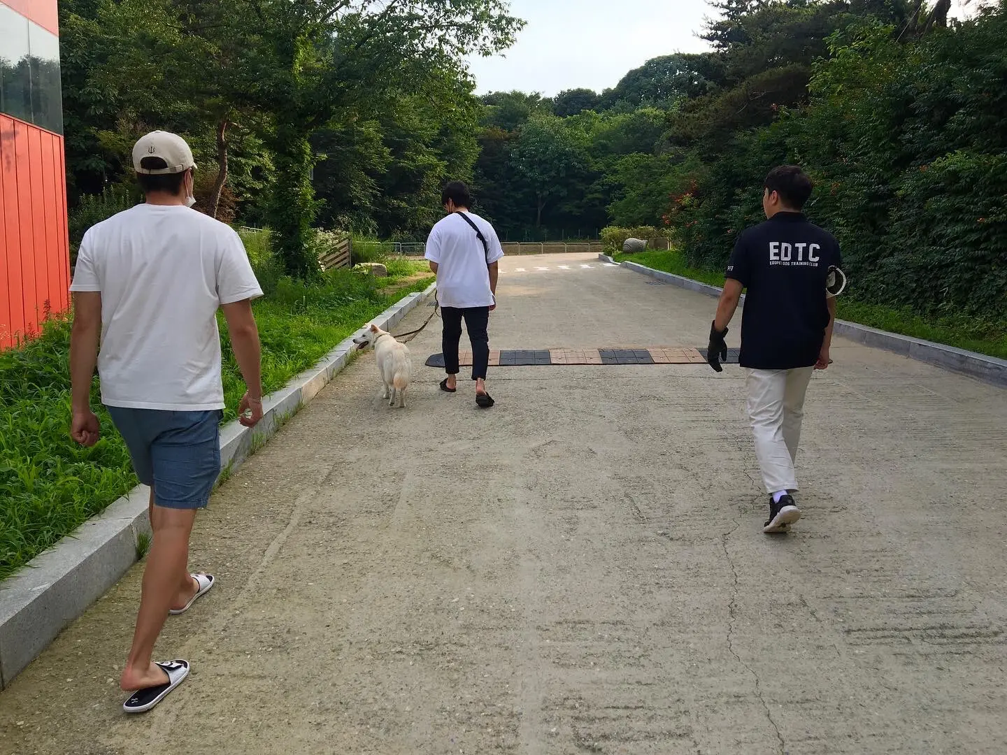 이미지 3