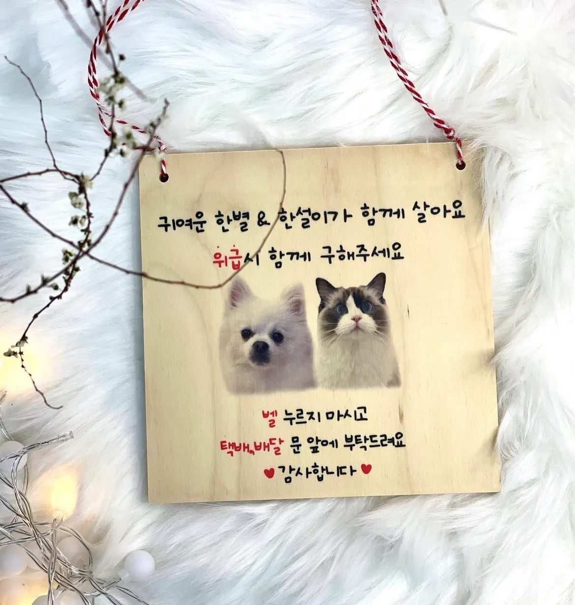 이미지 9
