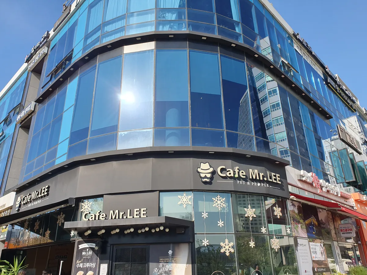 이미지 13