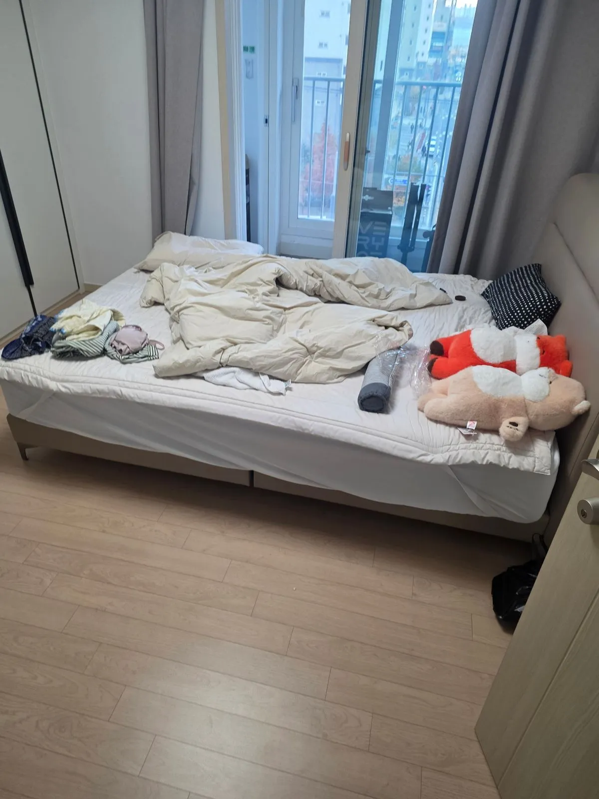 이미지 12