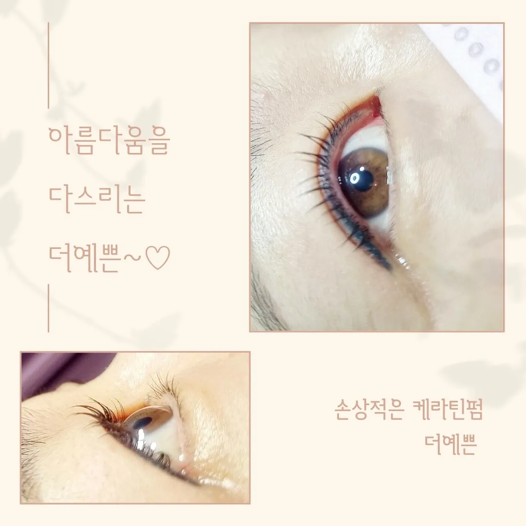 이미지 7