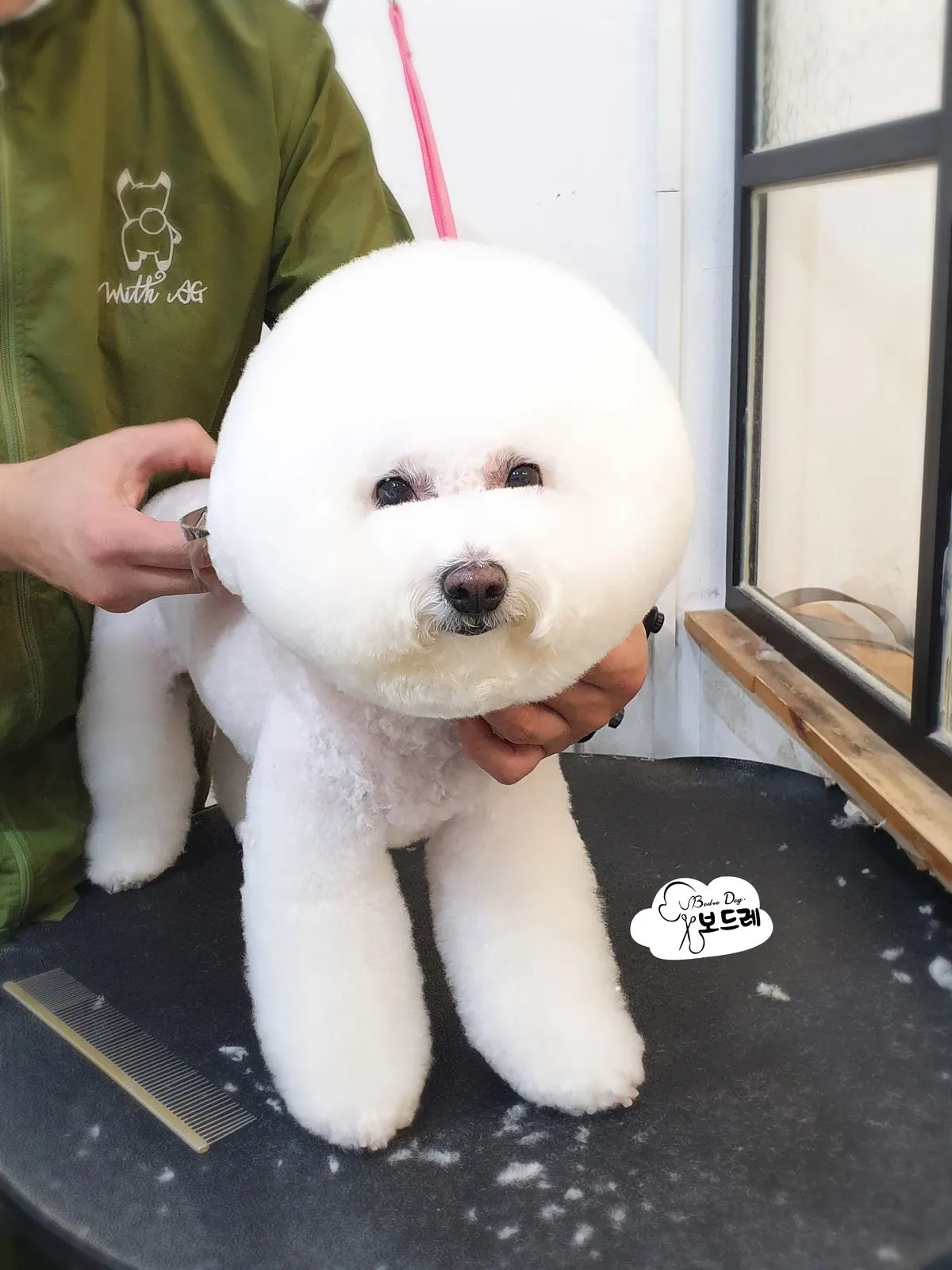 이미지 9