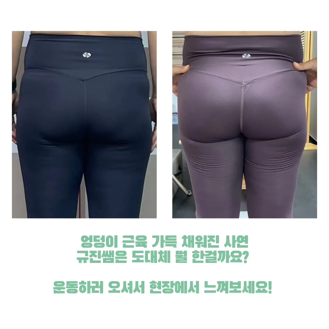 이미지 4