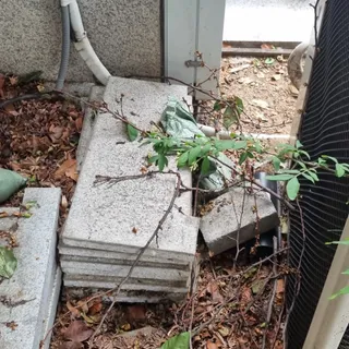 쥐퇴치작업