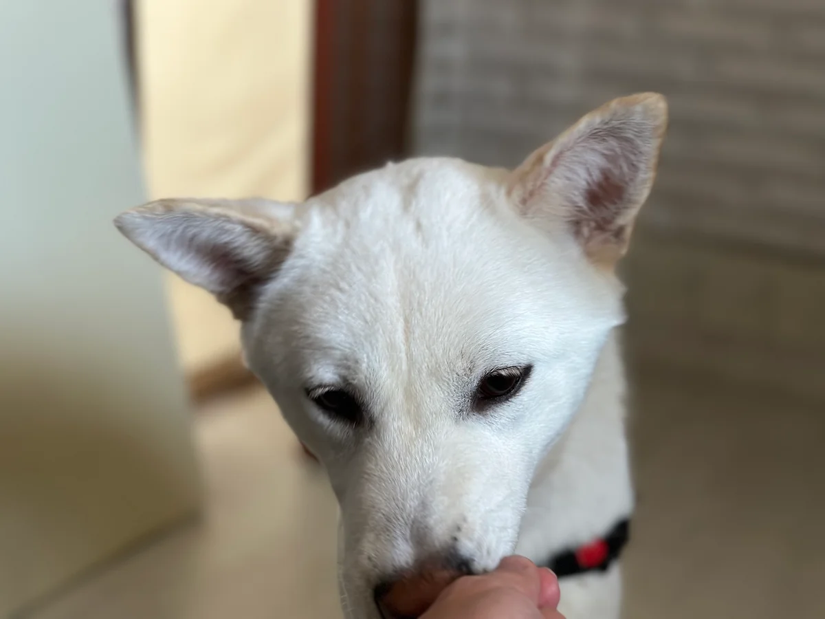이미지 7