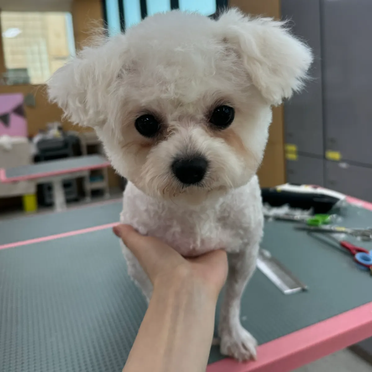 이미지 8