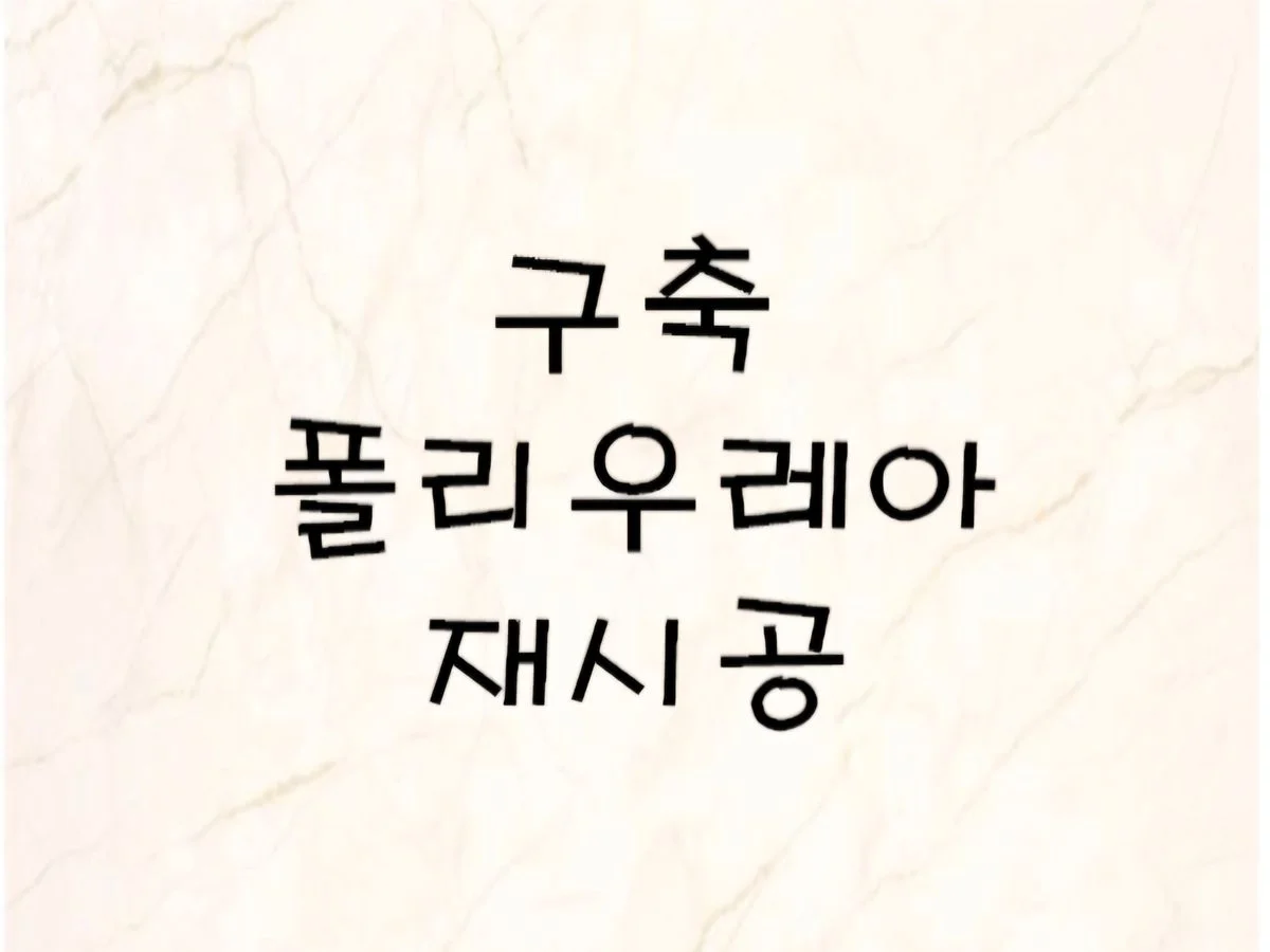 포트폴리오 이미지