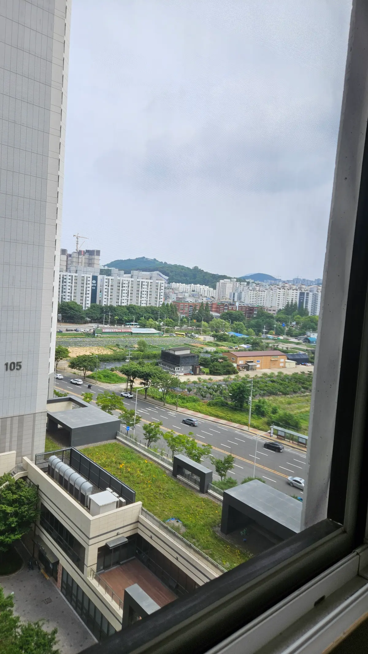이미지 9