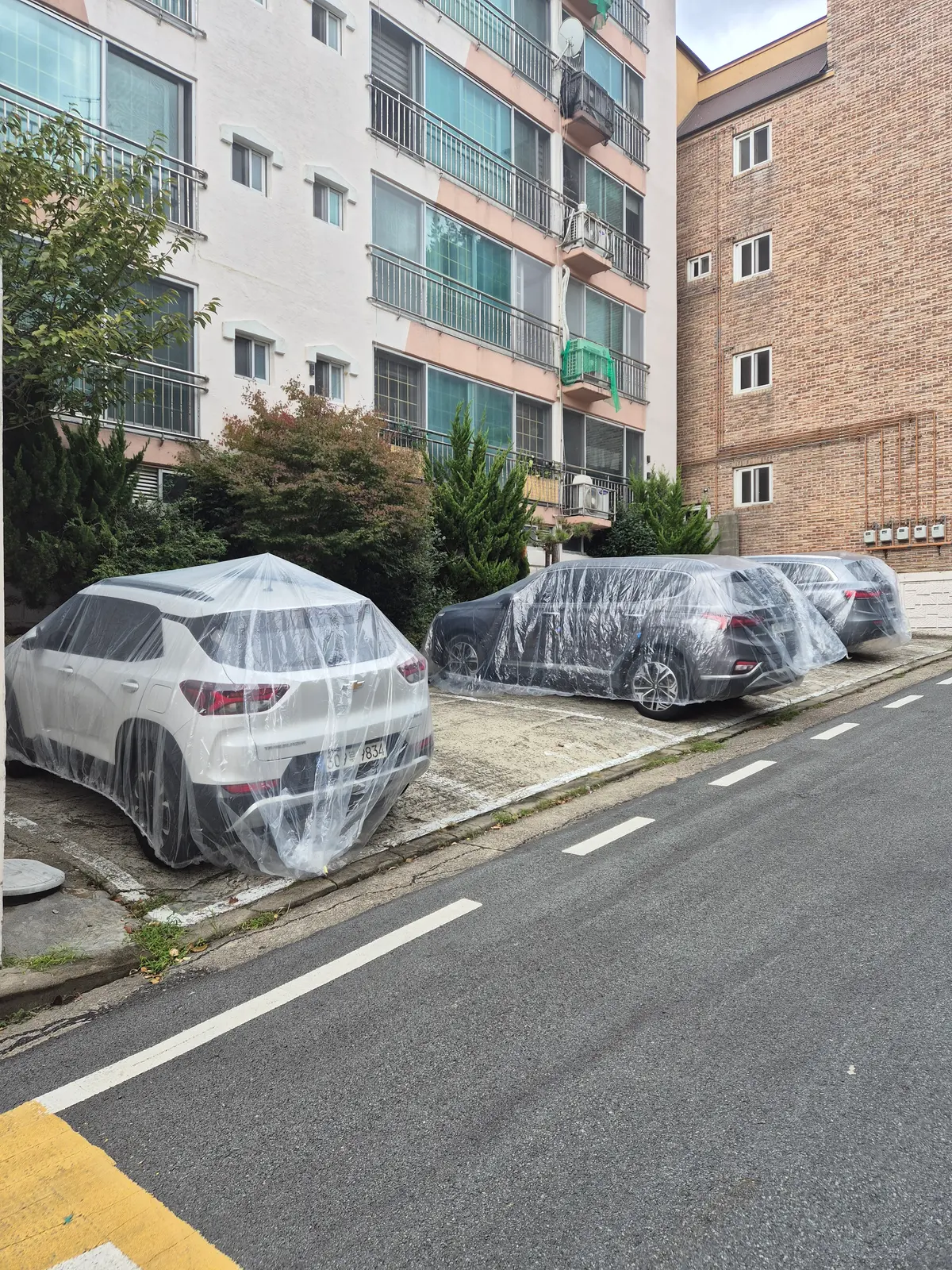 이미지 8
