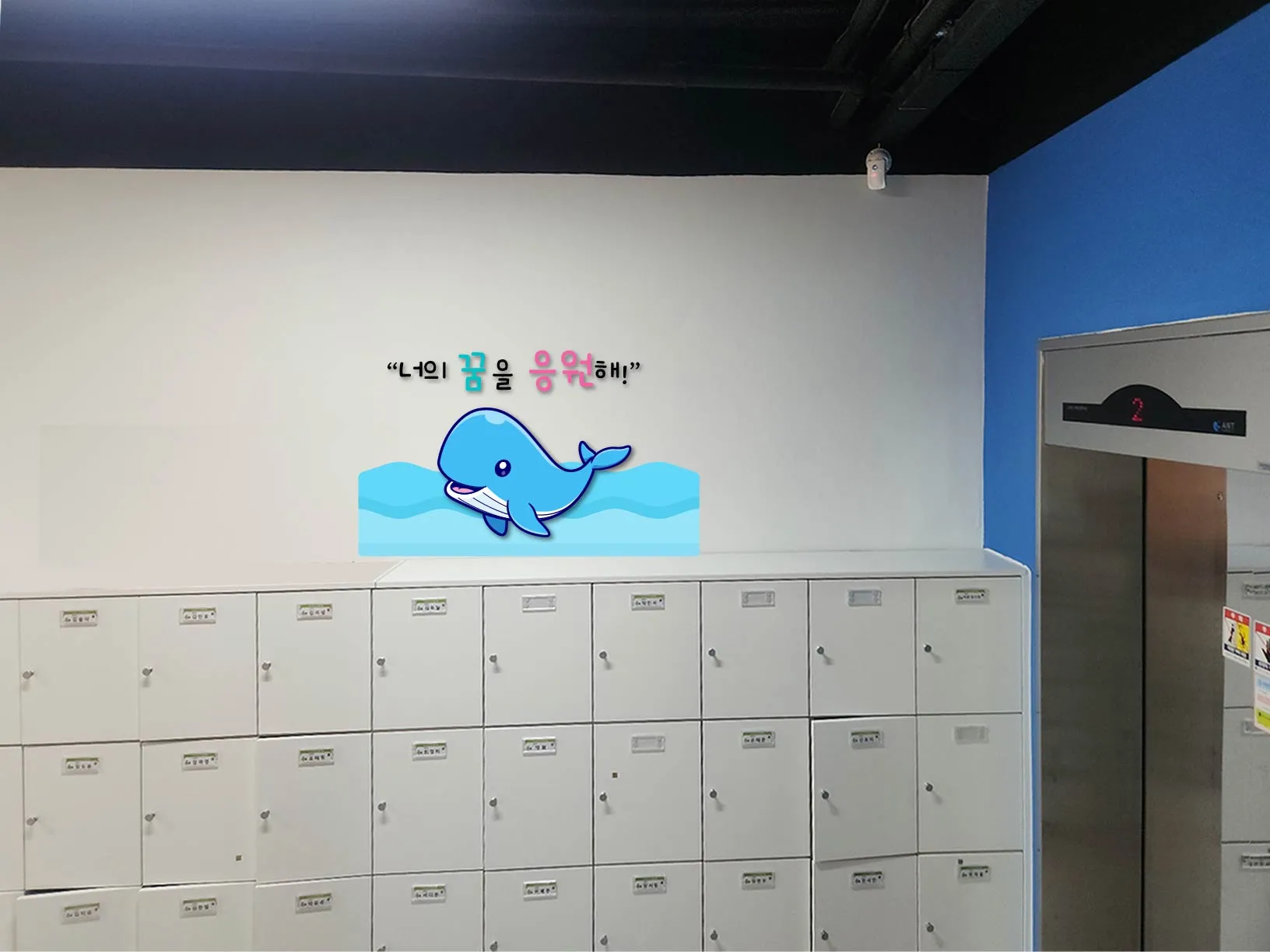 이미지 8