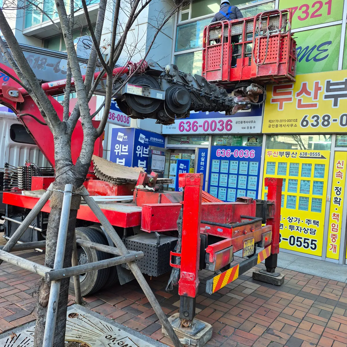 이미지 5