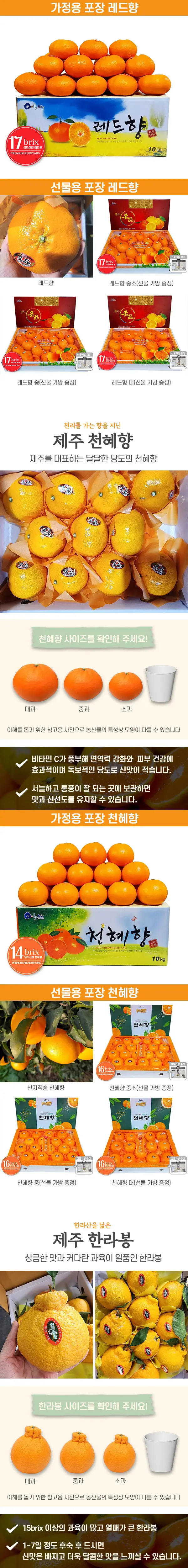 이미지 5