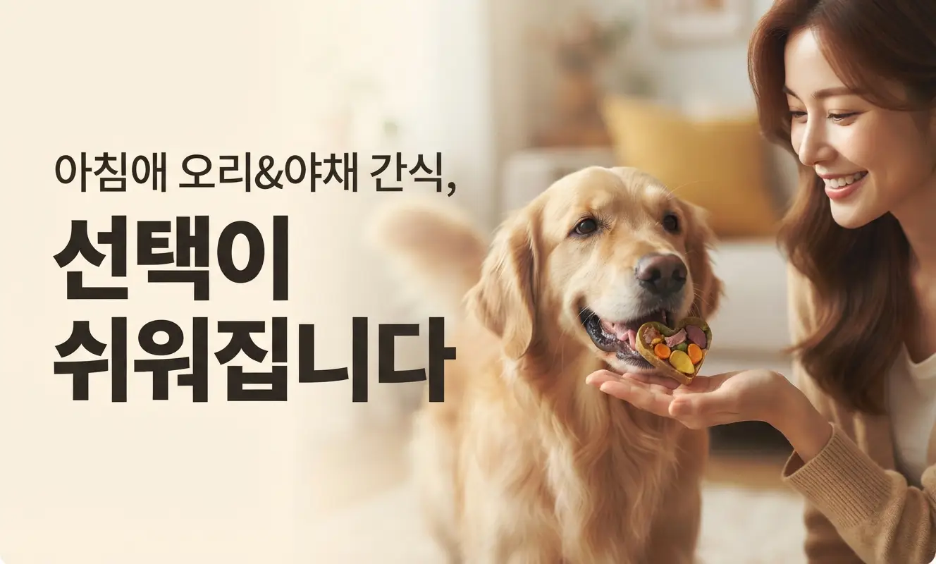 이미지 4