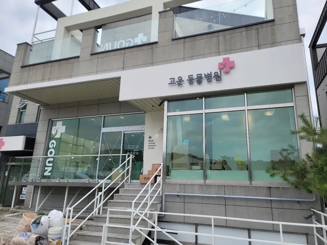 이미지 8