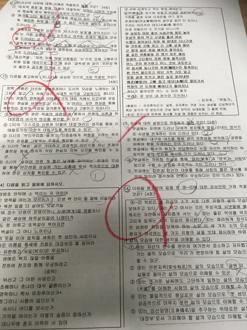 이미지 11