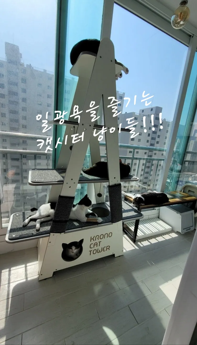 이미지 8