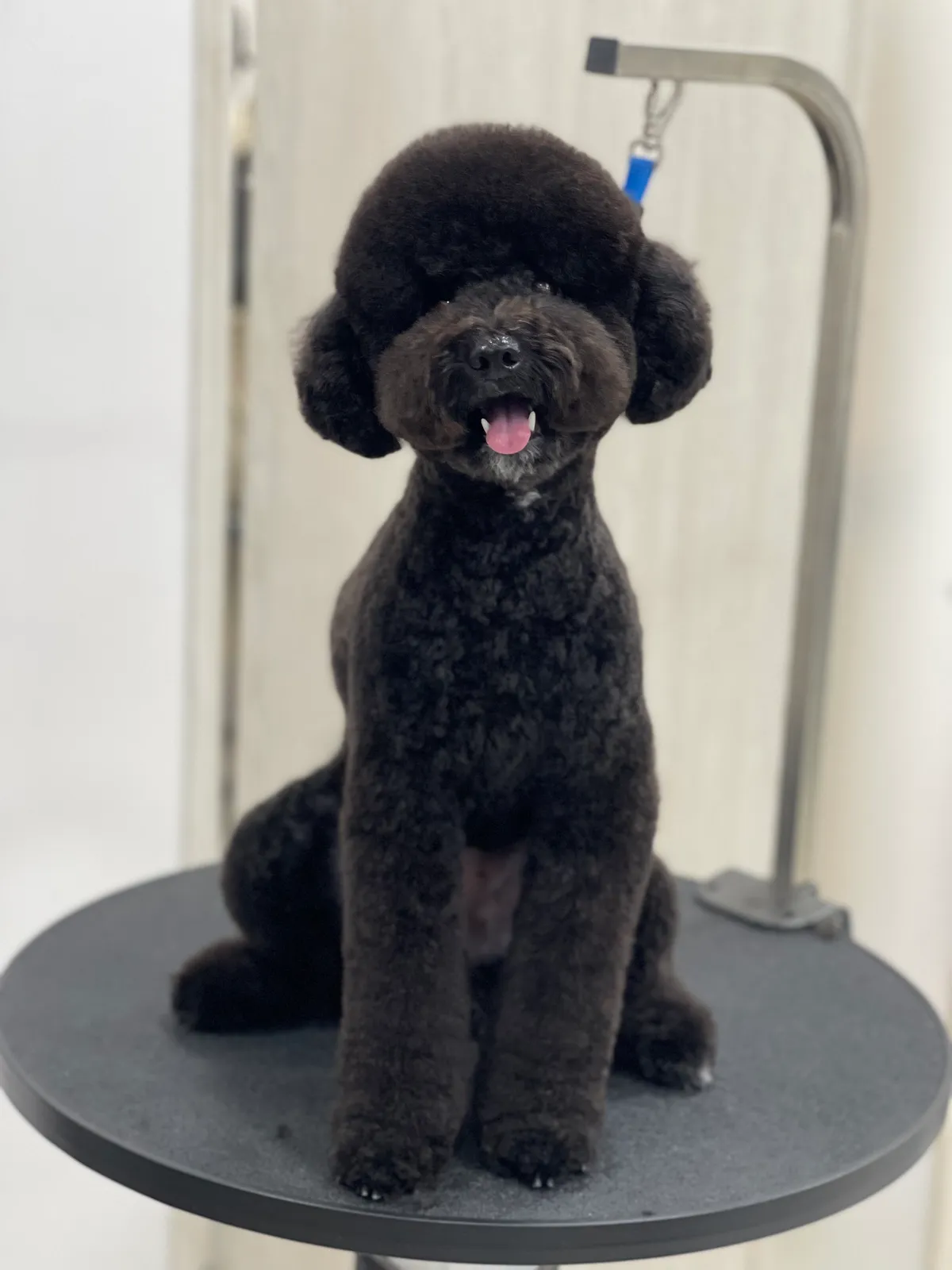 이미지 5