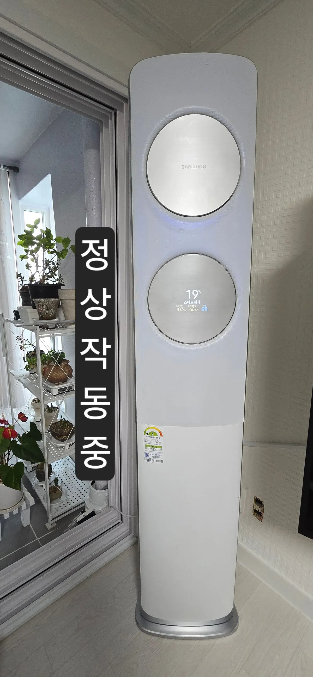 이미지 12