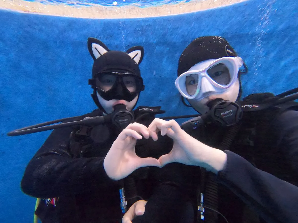 포트폴리오 이미지