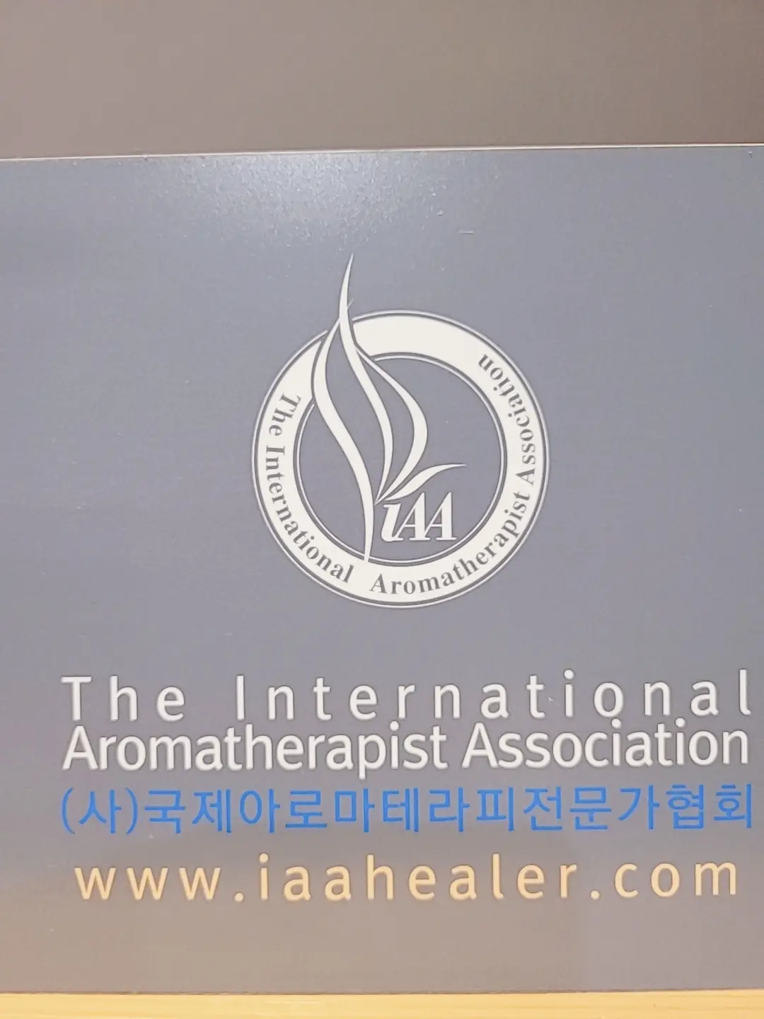 이미지 7