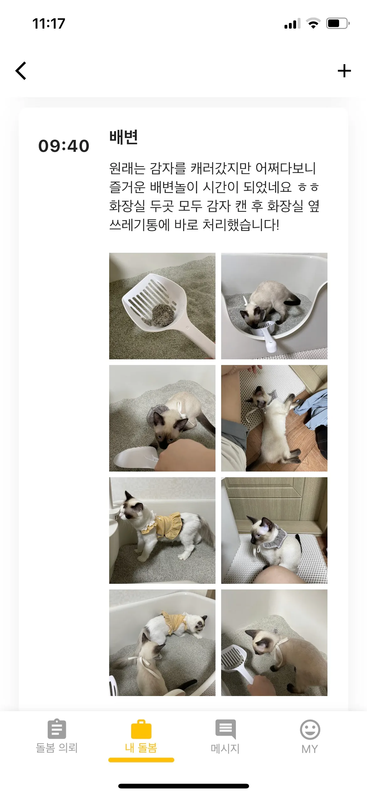 이미지 6