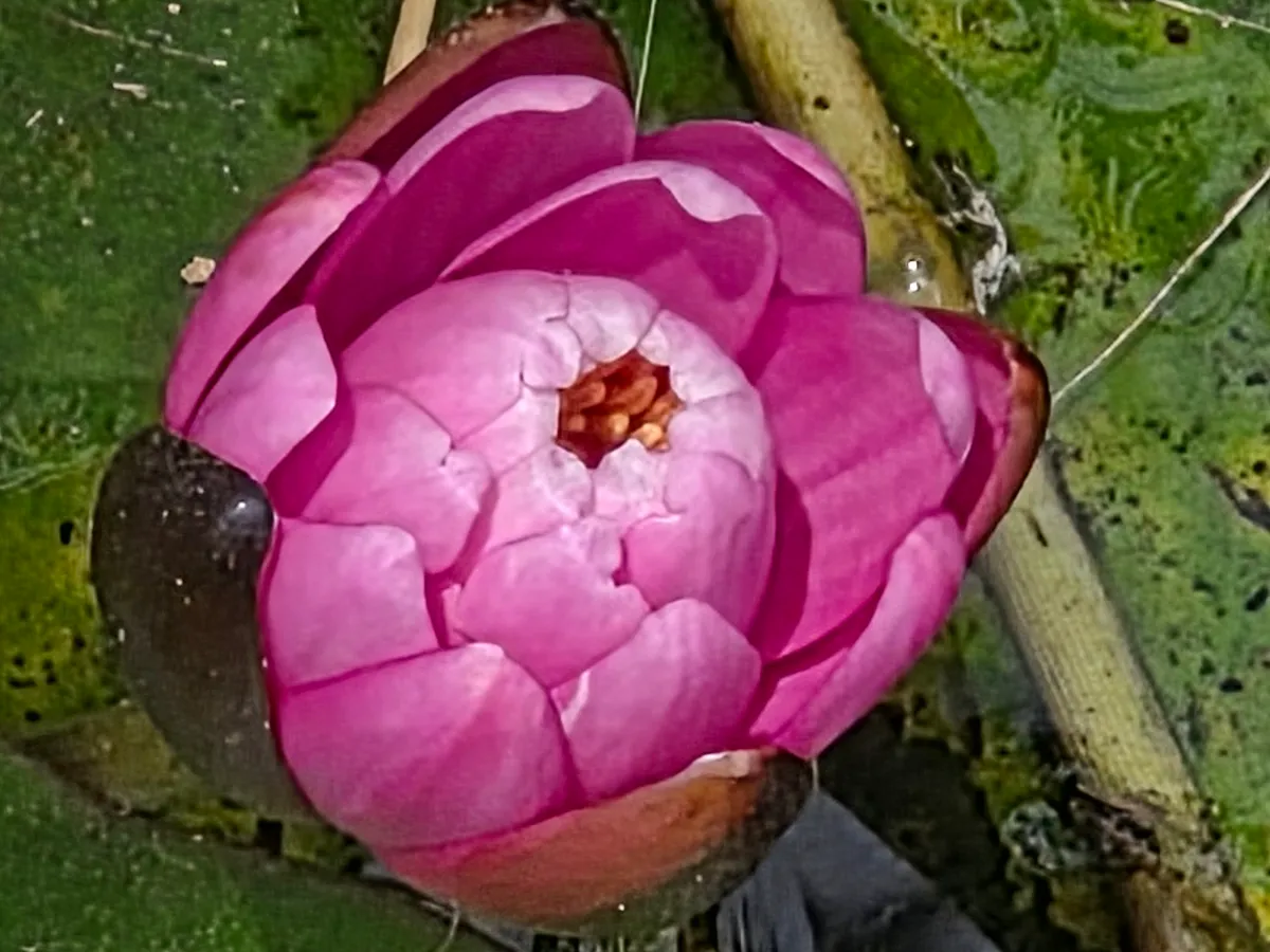 이미지 2