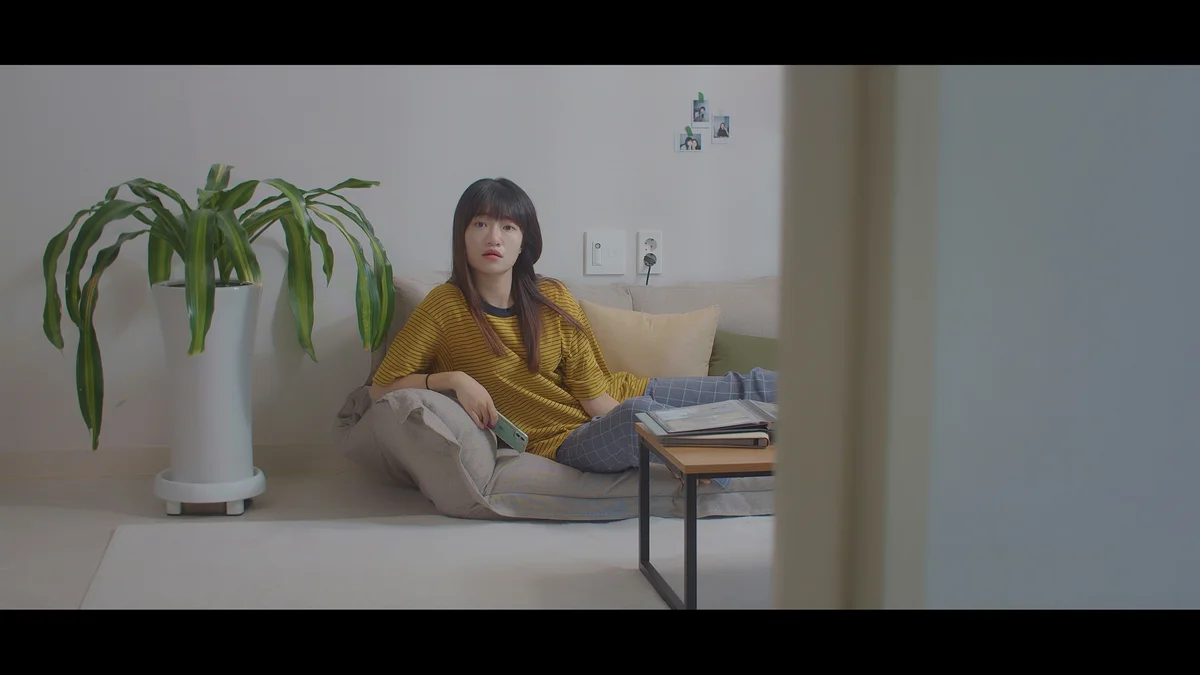이미지 5