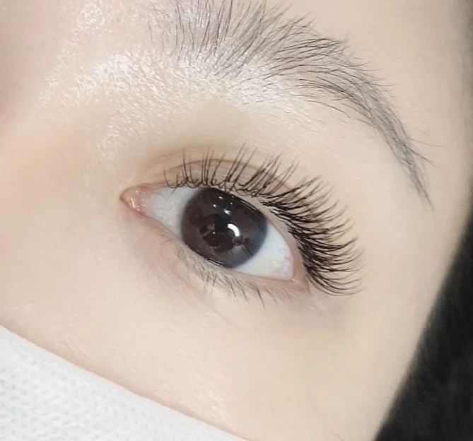 이미지 8